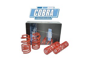 Juego De Muelles Cobra Bmw 3 Series (2wd) E21 Sedan 315/316/318/320 (4-cyl) 1975-1982 40mm rebaje delantero-40mm rebaje trasero