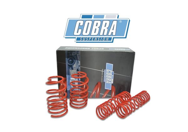 Juego De Muelles Cobra Bmw 3 Touring (2wd) E36 Touring 320/323/325/328 + 318-/325-td/tds 1995-1999 40mm rebaje delantero-30mm re