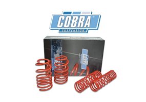 Juego De Muelles Cobra Smart (mcc) Fortwo W451 Coupe+cabrio 1.0 + 0.8 Cdi 2007-08/2014 25mm rebaje delantero-25mm rebaje trasero